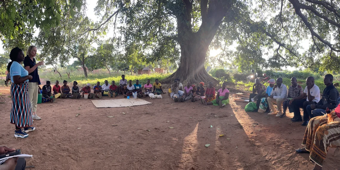 Zambia: Stronger together through savings groups