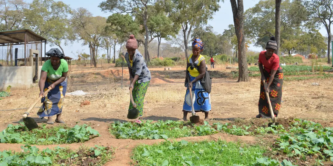 Zambia: Biogas for sustainable development