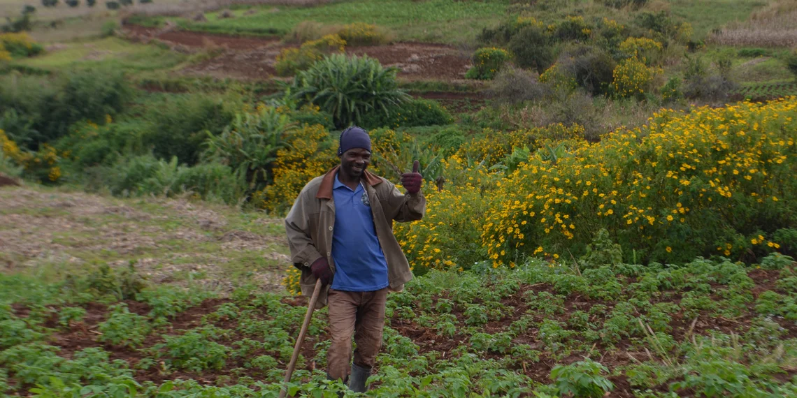 Malawi: Sustainable irrigation and income security despite the climate crisis